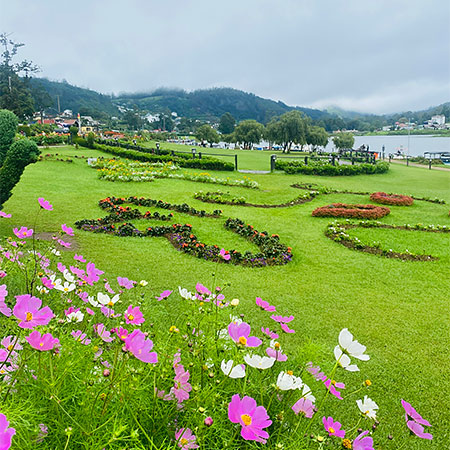 Nuwara Eliya