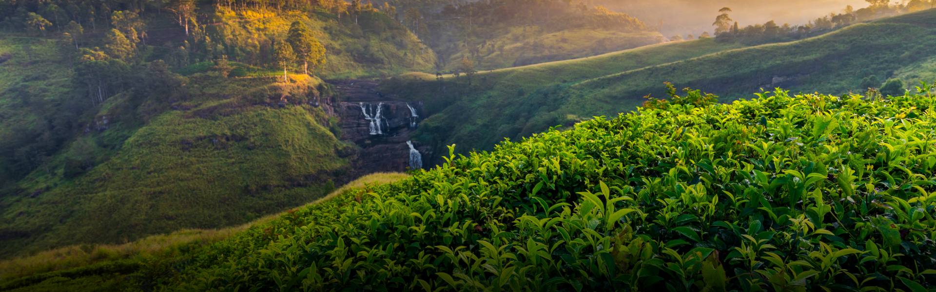 UK Market Tours – 12 Nights